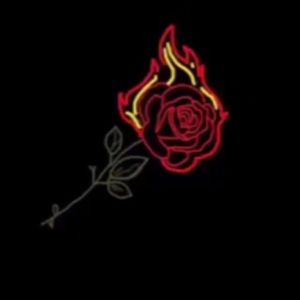 Meet your Posher, Brody